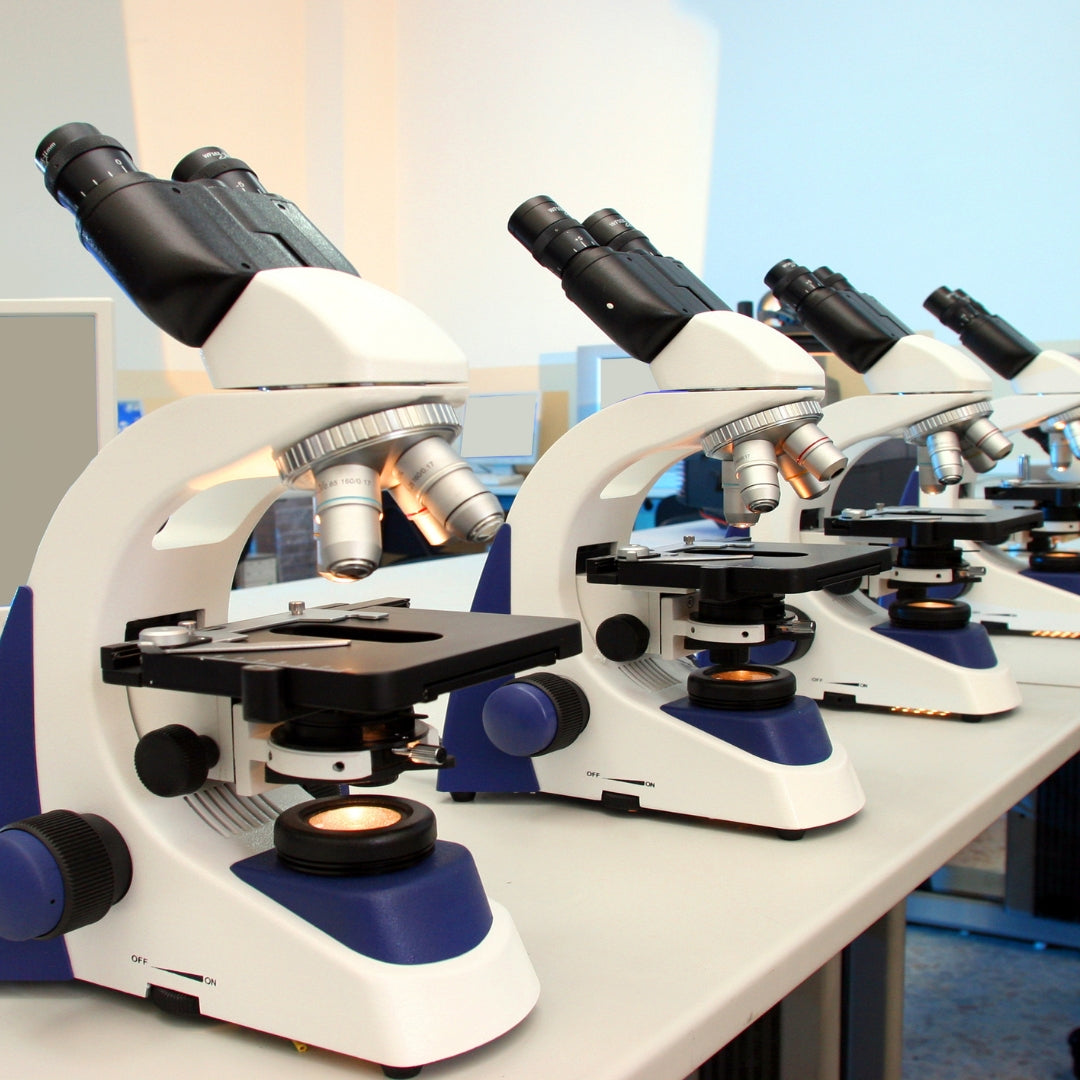 Microscopios